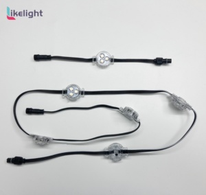 12V 24V 30 mét theo <span class=keywords><strong>d</strong></span>õi ngoài trời thông minh LED ucs2904 RGBW chiếu sáng vĩnh viễn - Product Image 5