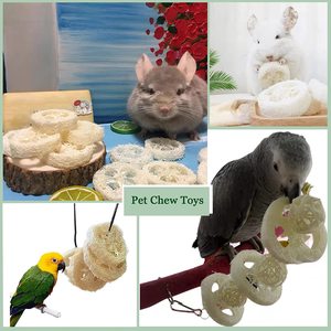 Natural Loofah Slices Eco-Friendly <b>Interactive</b> Chew <b>Toys</b> for Dogs & <b>Cats</b>-Wholesale - Product Image 4