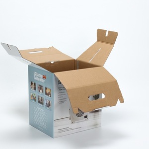 Custom Logo Printed Household Appliances Packaging Box Mini Fruit Packing Gift Carton