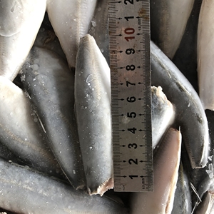 Di buona Qualità Cinese Congelato Cavallo Sgombro - Product Image 6