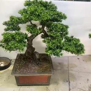 Albero di Pino Artificiale in Vaso, Pianta Decorativa Realistica Sempreverde per Interni ed Esterni, Soggiorno, Camera da Letto, Balcone, <span class=keywords><strong>Appartamento</strong></span> - Product Image 4