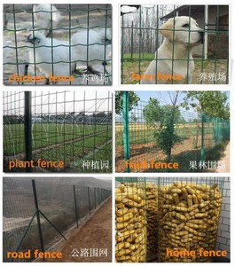Holland Fence Roll PVC Coated Welded Wire <b>Mesh</b> for Garden Landscape Fencing - Product Image 4