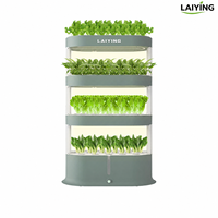Tour de culture hydroponique d'intérieur à 3 niveaux avec circulation automatique de solution nutritive, système de culture sans sol pour balcon domestique