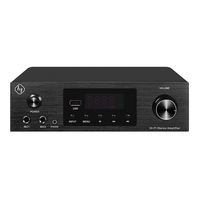 Marka yeni 200-Watt Mini boyutu alüminyum alaşım ev amplifikatör yüksek kaliteli Stereo dijital DSP USB Mic BT ses Karaoke için özellikler