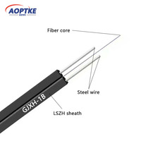 Kabel Serat Optik AOPTKE Harga Pabrik Indoor LSZH GJXH-1B 1 Core G652D/G657A1/G657A1 FTTH Komunikasi Panjang Dapat Disesuaikan