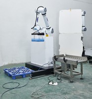 Máquina Automatizada de Paletización para Empacar Productos, con Apilamiento por Succión y Detección de Colisiones Integrada