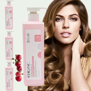 Champú de extracto de plantas veganas acondicionador de champú nutritivo <span class=keywords><strong>para</strong></span> <span class=keywords><strong>cabello</strong></span> <span class=keywords><strong>deshidratado</strong></span> - Product Image 6