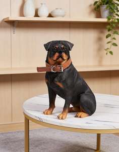 Interesante Decoración de Jardín con Figuras de Perros Rowena, Estatuas Realistas, Adornos Decorativos de Resina - Product Image 4