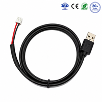 Rangkaian Kabel USB ke JST PH 2.0 Berisolasi PTFE untuk Pengisian Daya Komputer/Baterai Sepeda Motor (OEM ODM)