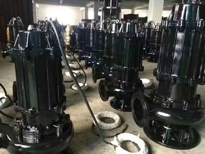 La pompe à eaux usées submersible 220V a un débit de 10 mètres cubes par heure, une hauteur de refoulement de 10 mètres et une puissance de 0,75 kW - Product Image 4