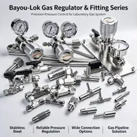 Manual Precision 316 Stainless Steel Needle Valve Fitting Reliable Leak Proof Control Industrial Fluid Gas Pressure Regulator