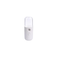 Meilleur vendeur Mini vaporisateur facial rechargeable à technologie nano portable Vaporisateur fin pour le visage Brume fine pour l'extérieur Hôtel Plastique Hydratant