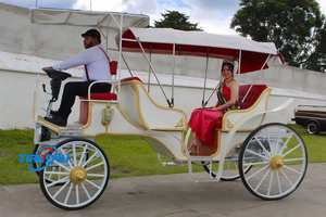 <span class=keywords><strong>Limousine</strong></span> fantastique/transport électrique touristique de <span class=keywords><strong>mariage</strong></span>/chariot Victoria de conte de fées pour le camping - Product Image 2