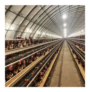 Gabbie per galline, - Product Image 2