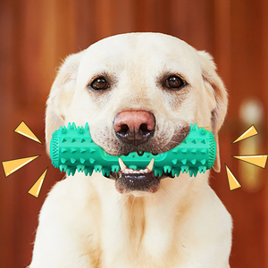 Spazzolino da denti per cani cigolante giocattolo per cani di media taglia interattivi all'aperto per migliorare Iq resistente ai denti per la pulizia di animali domestici - Product Image 1