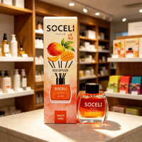 Diffuseur à bâtonnets en verre 120 ml, coffret cadeau, sans alcool, parfum longue durée, Jardin de fleurs, Mangue, Brise marine, Logo personnalisé, Fabrication OEM