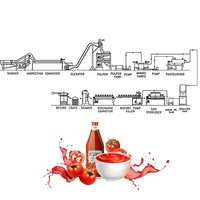 Volautomatische Tomatenpuree Verwerking Machine Tomaat Ketchup Saus Productielijn Tomatenpuree Productielijn Voor Verkoop