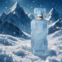 Flacon de parfum de luxe OEM 100 ml, flacon de parfum en verre vide, design personnalisé, logo et couleur personnalisés, boîte d'emballage personnalisée