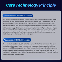 Casque de photobiomodulation 810nm 1070nm LED infrarouge Modes personnalisés Télécommande Utilisation professionnelle en clinique