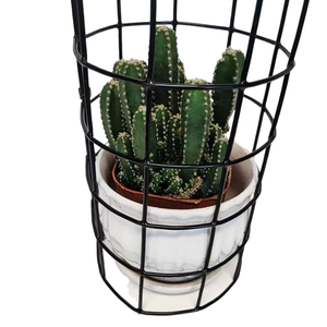 Maille soudée résistante Panel35x13.5cmFilet <span class=keywords><strong>de</strong></span> clôture <span class=keywords><strong>de</strong></span> <span class=keywords><strong>jardin</strong></span> en <span class=keywords><strong>acier</strong></span> <span class=keywords><strong>galvanisé</strong></span> <span class=keywords><strong>de</strong></span> preuve animale pour la protection <span class=keywords><strong>de</strong></span> foresterie <span class=keywords><strong>de</strong></span> verger - Product Image 5