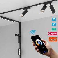 Système d'Éclairage sur Rail Magnétique Ultra-Mince 48V, Projecteur LED Magnétique Intelligent Tuya