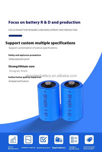 1200mAh 3.6V Lithium COB <span class=keywords><strong>AA</strong></span> <span class=keywords><strong>1</strong></span>/2AA pour Jouets Primaire Non Rechargeable Er14505M Er14335 Er17505 Er17335 Er26500 Er14250 Lisocl2 - Product Image 6