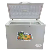 Một Cửa Duy Nhất Thương Mại Trang Chủ Sử Dụng Tủ Lạnh Ngực BD-188 Với Cửa Bọt