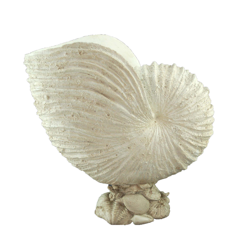 Wholesales Artificial Resin Ocean Collection Spiral
