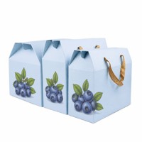 Boîtes cadeaux personnalisées à toit en pignon, motif fruits, couleurs variées, vente en gros OEM