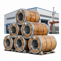 Bobine d'acier prélaqué PPGL à motifs, bobine d'acier Galvalume prépeinte, bobine d'acier revêtue de couleur pour matériaux de toiture – Approvisionnement direct usine
