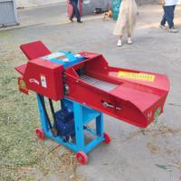 Machine à Ensileuse et Coupe-Foin Professionnelle au Prix de Chine, Hacheuse de Paille à Moteur Diesel 5 CV pour Coupe d'Herbe Agricole