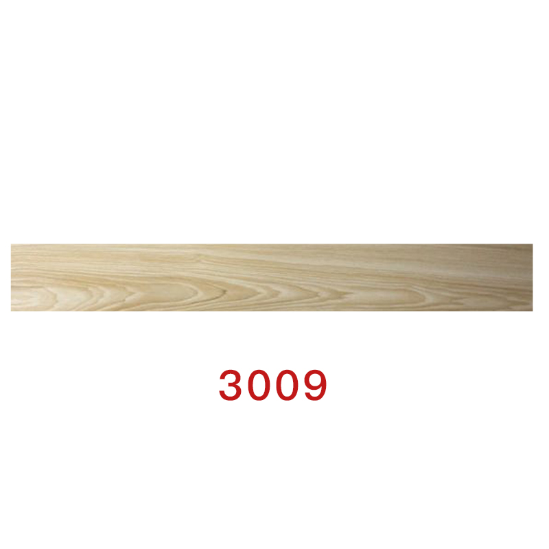3009