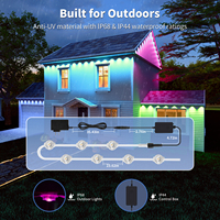 Lampes LED Extérieures Étanche de Haute Qualité pour la Décoration des Avant-Toits avec Contrôleur RGBIC IP67 DC 5V Températures de Couleur 6000K 6500K