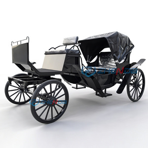 Lima de caballos eléctrica elegante para bodas, tipo carruaje de Victoria de cuento de hadas, para paseos turísticos. - Product Image 1