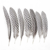 Plumes d'ailes de faisan argenté naturelles 20-25 cm (8-10 pouces) en vrac pour l'artisanat DIY, Halloween, Noël, Mardi Gras, décoration de carnaval