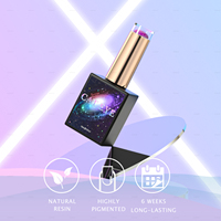 JTING Nouveauté : Coffret de vernis gel œil de chat 48 couleurs au design unique, avec livre de couleurs offert, OEM ODM, marque privée