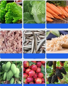 Máquina Comercial para Descongelar y Limpiar Frutas y Verduras Congeladas, Acero Inoxidable 304, Fácil de Operar - Product Image 2