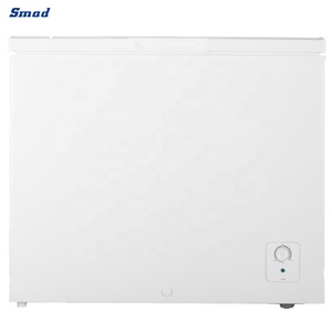 Congélateur horizontal à porte pleine de 8,7 pieds cubes pour viande - Product Image 2