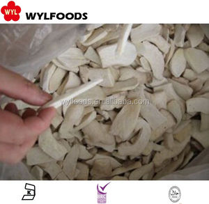 Nouvelle récolte de haute qualité et à bon prix <span class=keywords><strong>Champignon</strong></span> IQF congélation congelée Pleurotus <span class=keywords><strong>Eryngii</strong></span> - Product Image 3