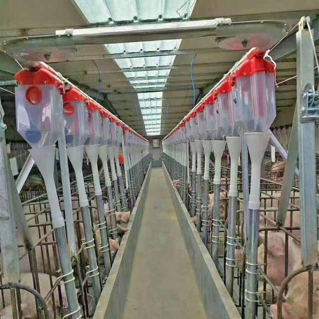 Fully Automatic Chain Disk Feeding Line Complete Set, Stainless Steel Livestock Pig Farm Auto Feeding Equipment