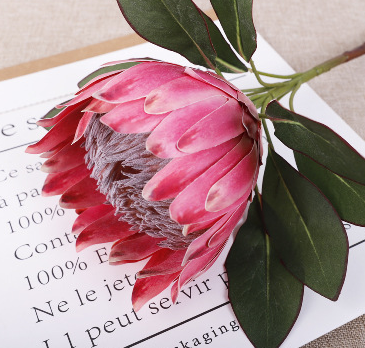 ชมพูเข้ม