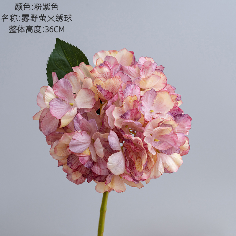 Rose violet