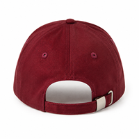 Gorra de Béisbol de 6 Paneles con Visera Curva Estructurada y Logotipo Bordado Personalizado ODM al por Mayor para Deportes al Aire Libre