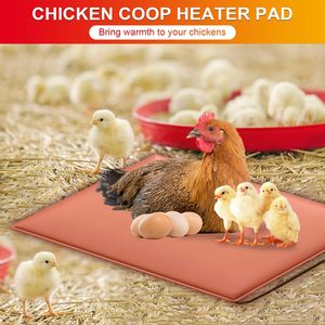 Coussin chauffant pour poulets avec cordon anti-morsure, température réglable et affichage du minuterie - Product Image 2