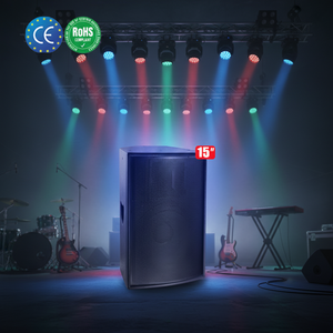 ベストセラー フルレンジ 15インチ ネオジムスピーカー コンサートステージ 教会用ウーファー サブウーファー 重低音 プロ仕様 パッシブスピーカー - Product Image 4