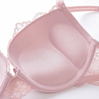 Set Bra dan Panty Wanita dengan Kawat Penyangga Tebal, Push Up, Berbahan Jaring dan Renda Seksi untuk Wanita dan Gadis