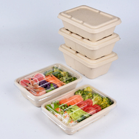 Boîte alimentaire rectangulaire Senang 500ml en bagasse de canne à sucre, écologique, rigide, compostable, personnalisable pour la restauration rapide