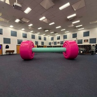 Modèle de barre d'haltères gonflable pour la publicité en salle de sport, ballon géant en PVC hermétique personnalisé pour équipement de fitness avec pompe à air