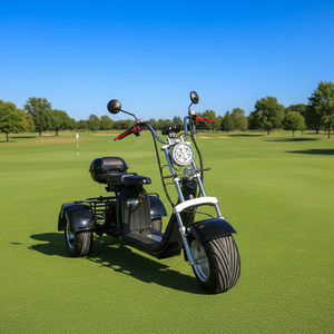 Scooter de golf électrique à trois roues avec pneus larges, GPS, pliable et étanche, moteur 2000W/3000W, batterie au lithium, porte-sac - Product Image 4