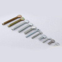Non-Standard Slotted Flat Thumb Screws High-Strength Zinc-Plated Coin Head Hand-Tightening Bolts